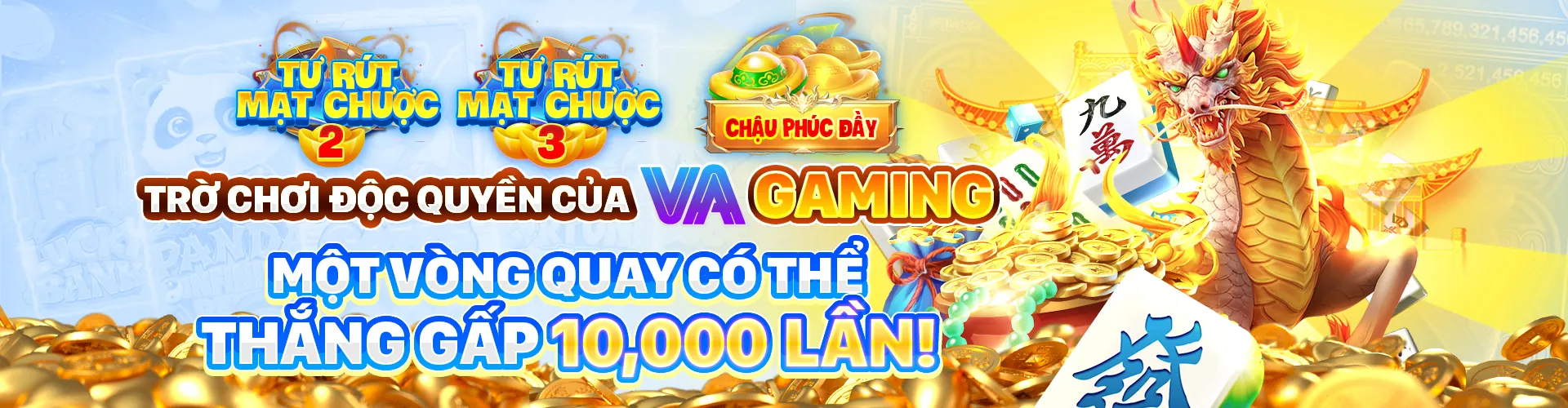Hình ảnh tổng quan về blog Thomo 67