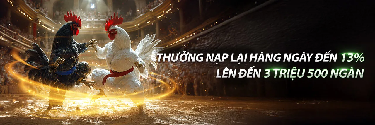 Kết Quả Đá Gà Thomo 67 Trực Tiếp